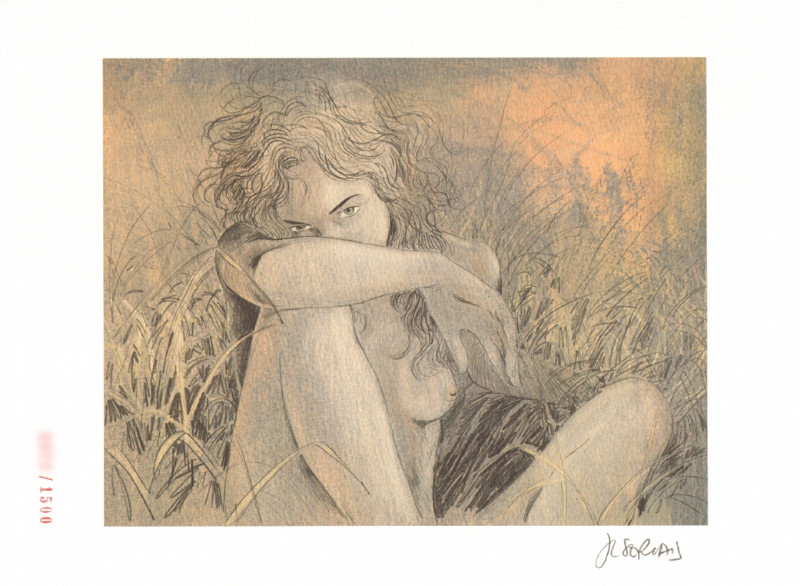 LOT Tendre violette vol1 2 3 intégrale TL dédicacé par Servais – Image 5