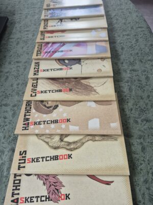 Collection 10 sketchbook numéroté et signé chaque auteur