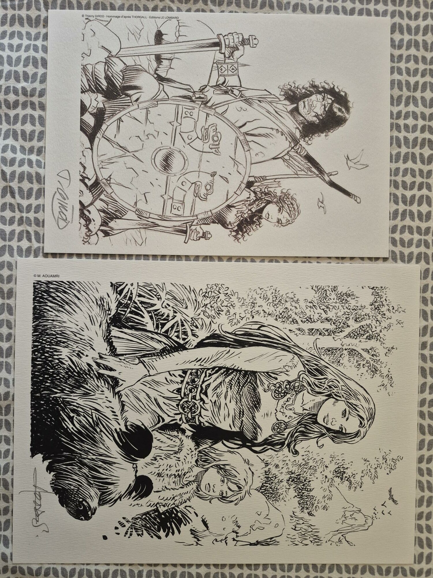 Thorgal, de givre et de feu, dédicacé par Etien, Djian, Legrand – Image 4