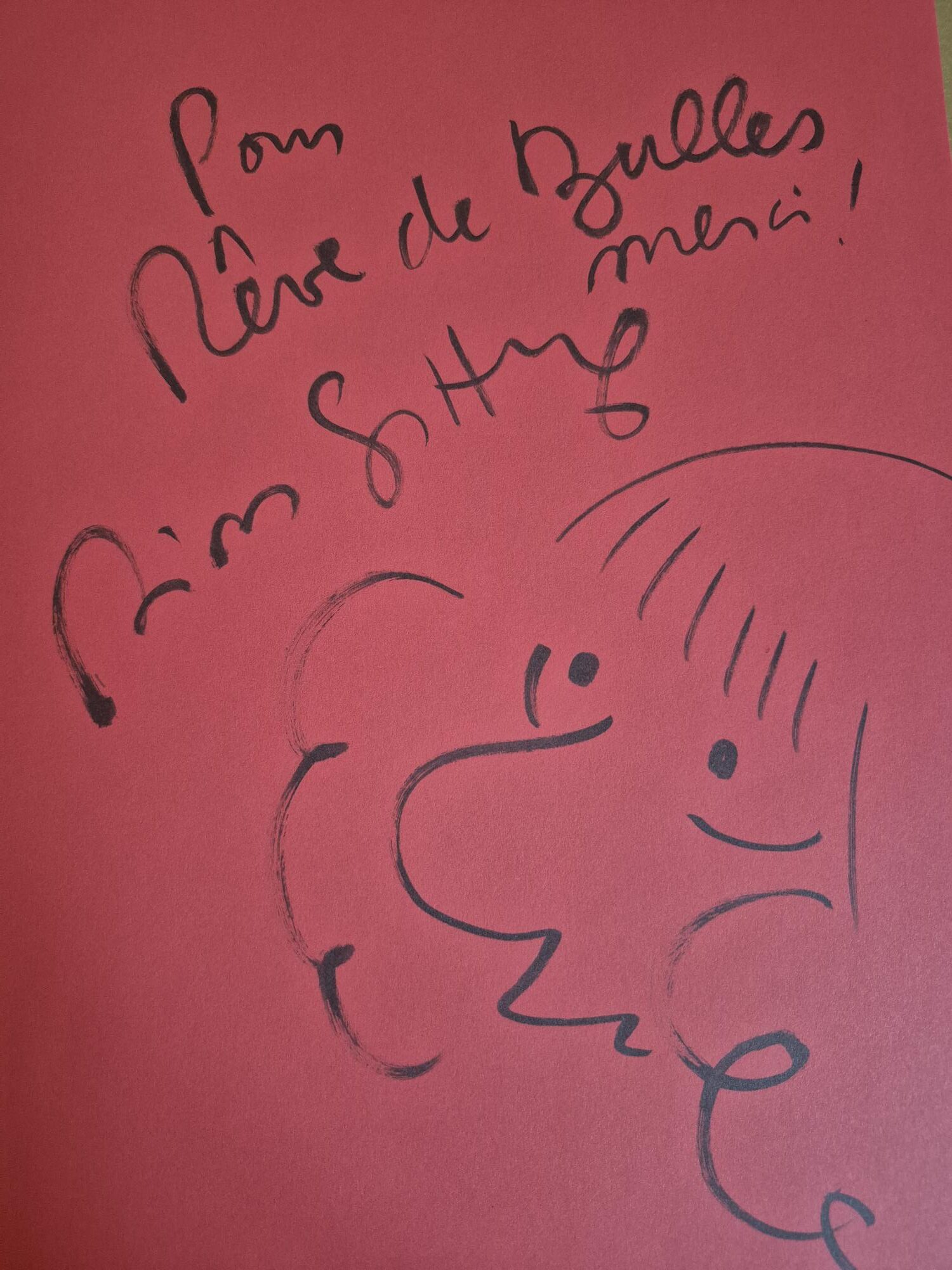 L'écriture dessinée dédicacé par Riad Sattouf – Image 2